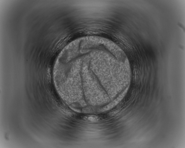 X0000097760506200804041129