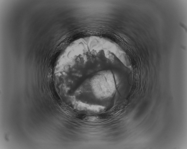 X0000097760507200804041129