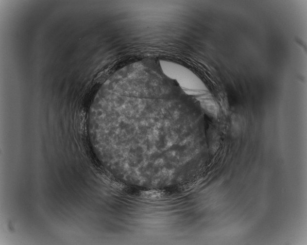 X0000097760511200804041129