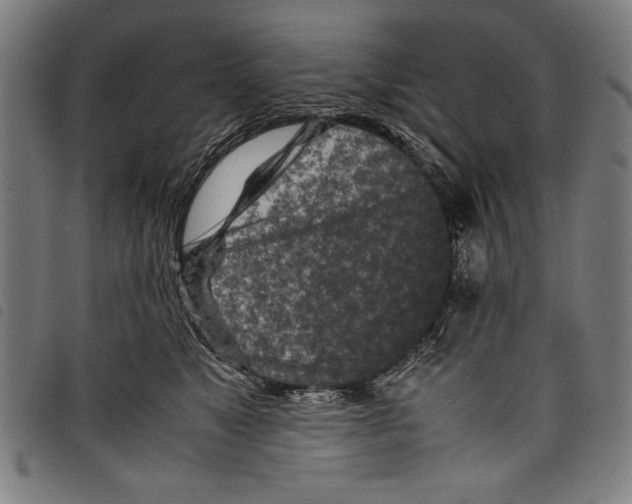 X0000097760517200804041129