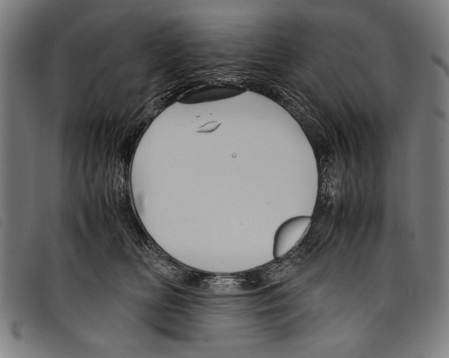 X0000097760518200804041129