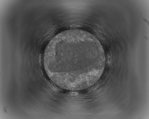 X0000097760519200804041129