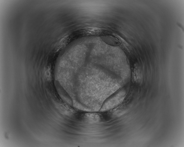 X0000097760520200804041129