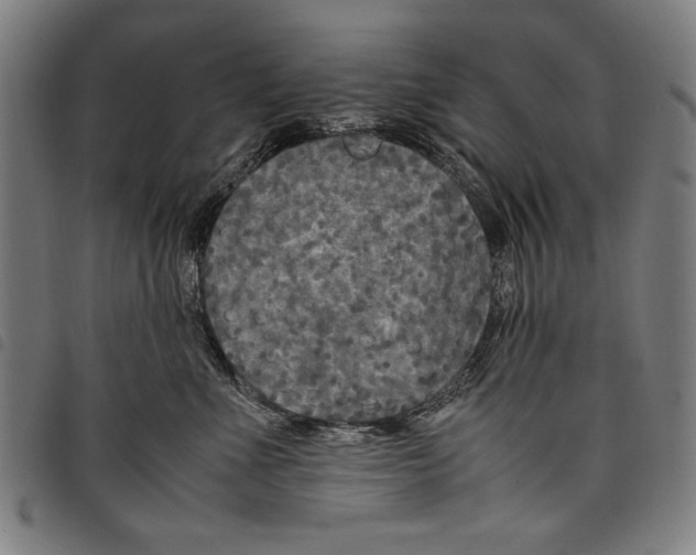 X0000097760523200804041128