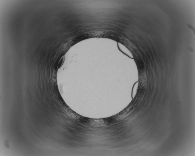 X0000097760525200804041128