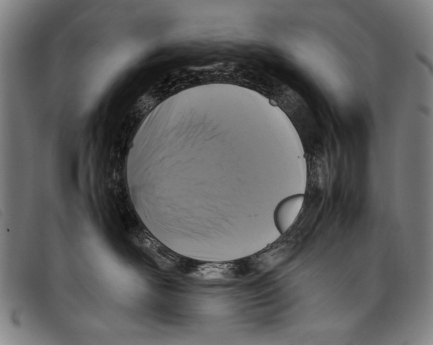 X0000097760526200804041128