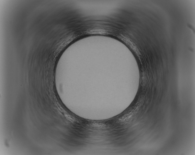 X0000097760529200804041128