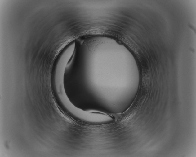 X0000097760530200804041128