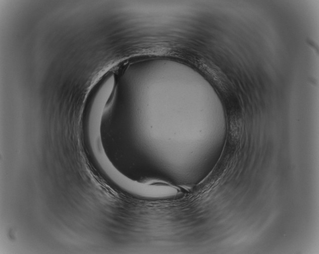 X0000097760532200804041128