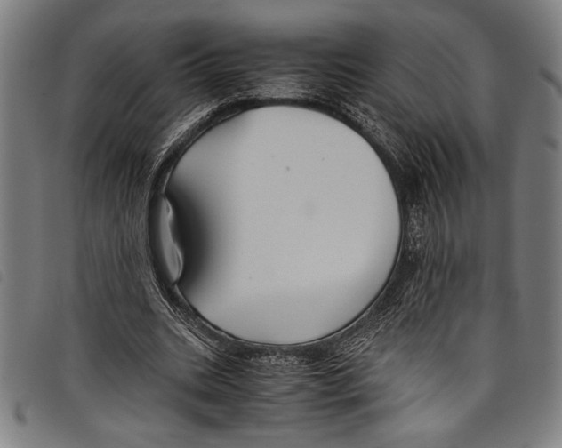 X0000097760535200804041128