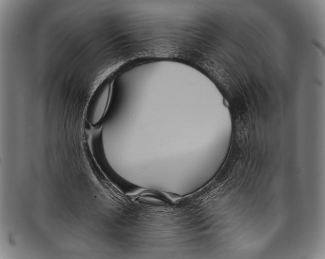 X0000097760536200804041128