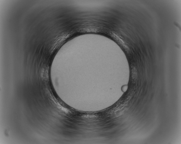 X0000097760537200804041128