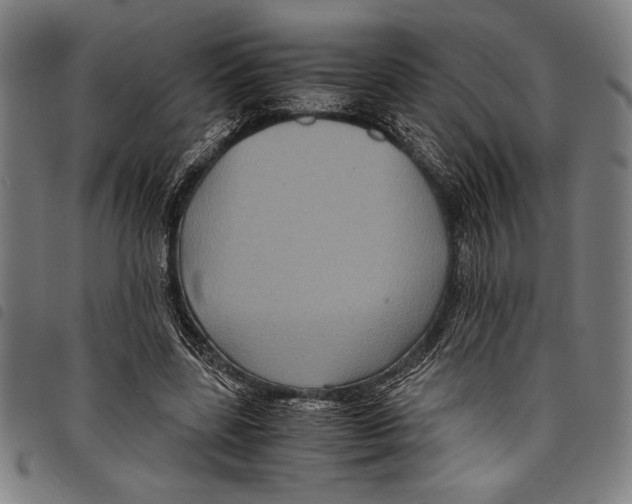 X0000097760539200804041128