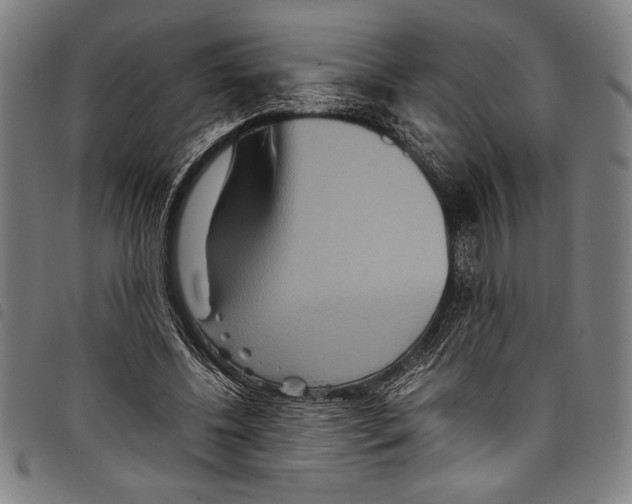 X0000097760540200804041128