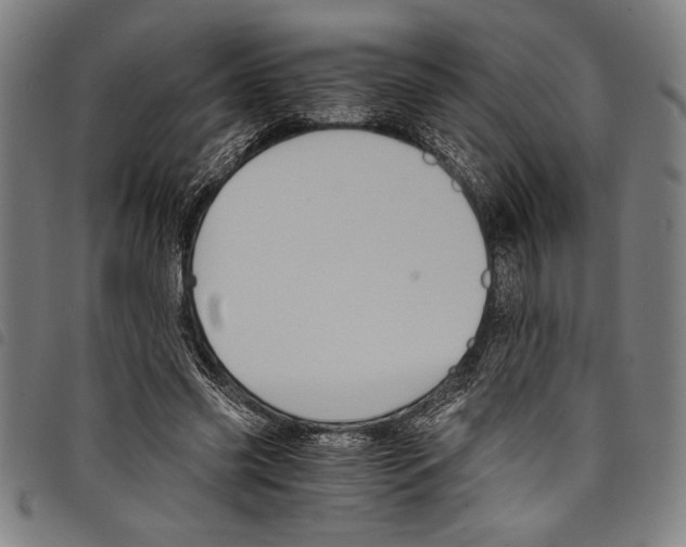 X0000097760541200804041128