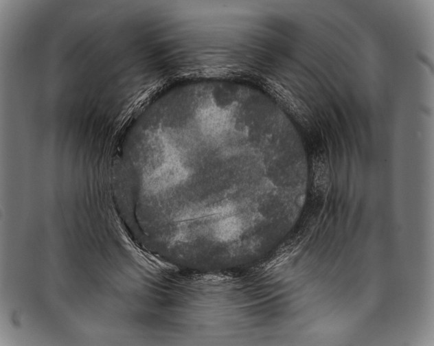 X0000097760542200804041128