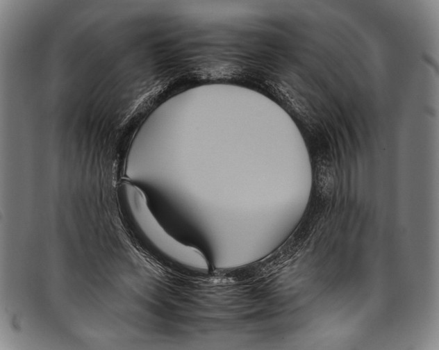 X0000097760543200804041128