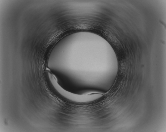 X0000097760544200804041128