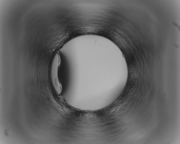 X0000097760546200804041128