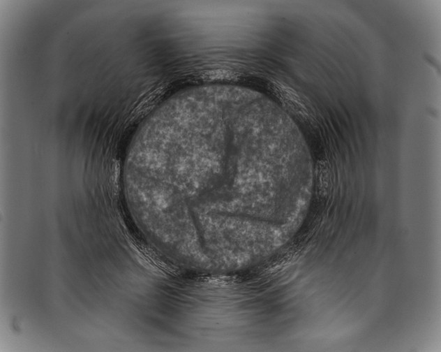 X0000097760550200804041128