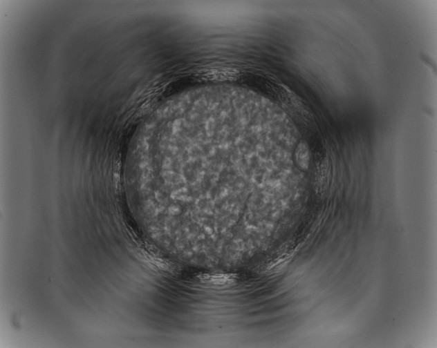 X0000097760553200804041128