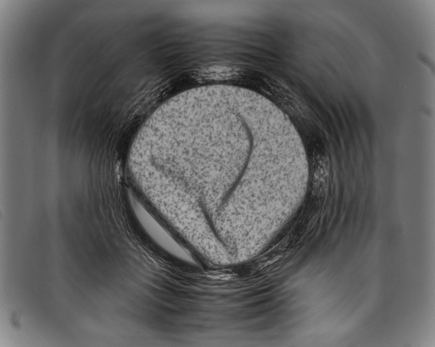 X0000097760555200804041128