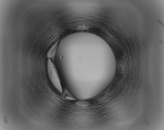 X0000097760556200804041128