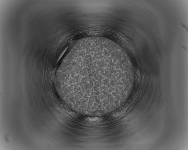 X0000097760557200804041128