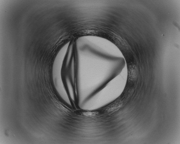 X0000097760558200804041128