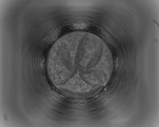 X0000097760559200804041128