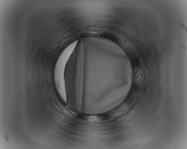 X0000097760562200804041128