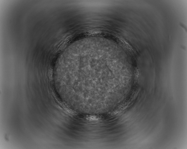 X0000097760565200804041128