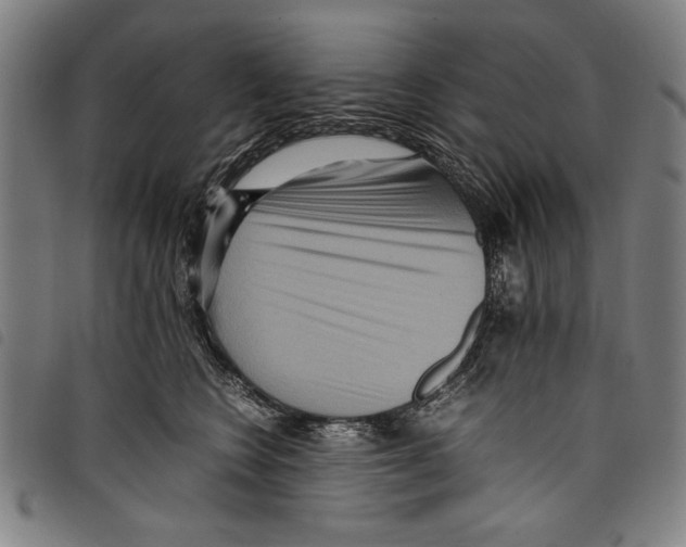 X0000097760566200804041128