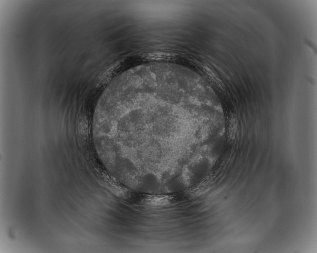 X0000097760569200804041128