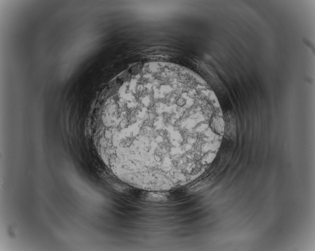 X0000097760573200804041128