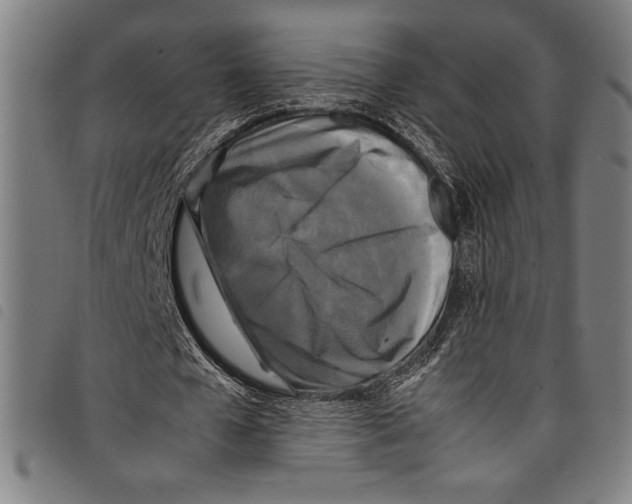 X0000097760577200804041128