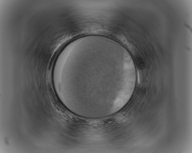 X0000097760579200804041128