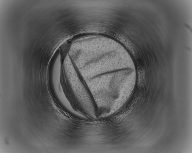 X0000097760580200804041128