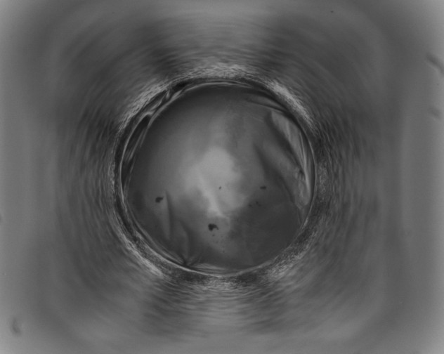 X0000097760581200804041128