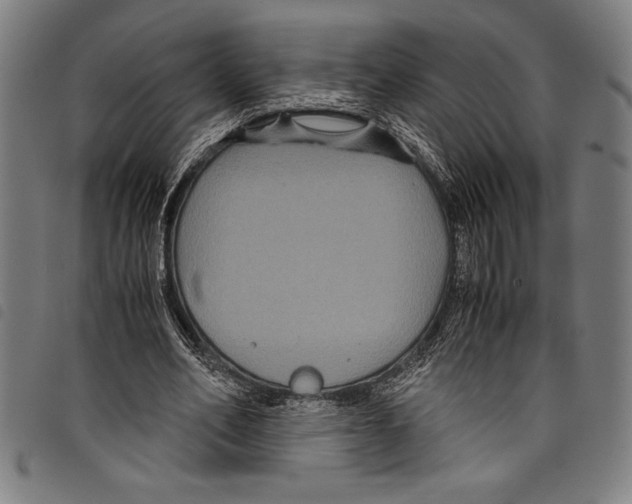 X0000097760582200804041128