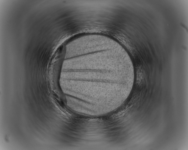 X0000097760584200804041128