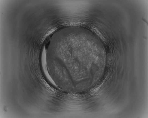 X0000097760585200804041128