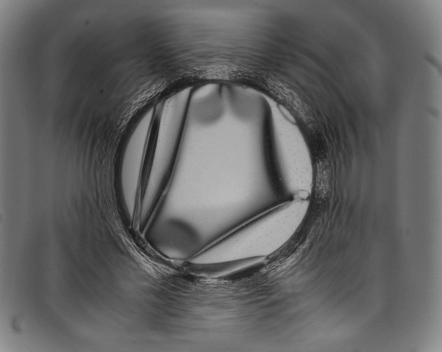 X0000097760589200804041128