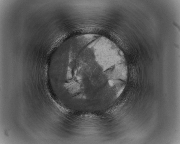 X0000097760590200804041128