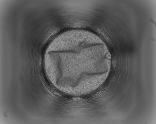 X0000097760591200804041128