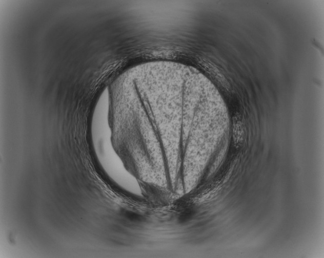 X0000097760593200804041128