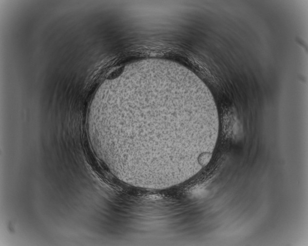 X0000097760594200804041128