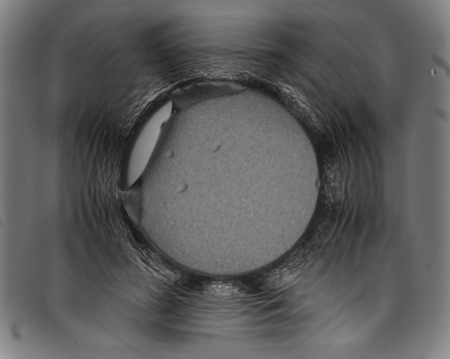 X0000097760596200804041127