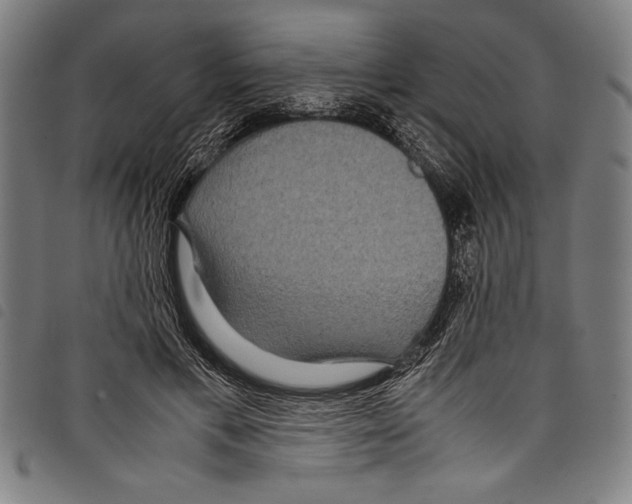 X0000097760597200804041127