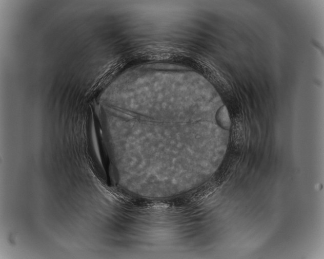 X0000097760598200804041127